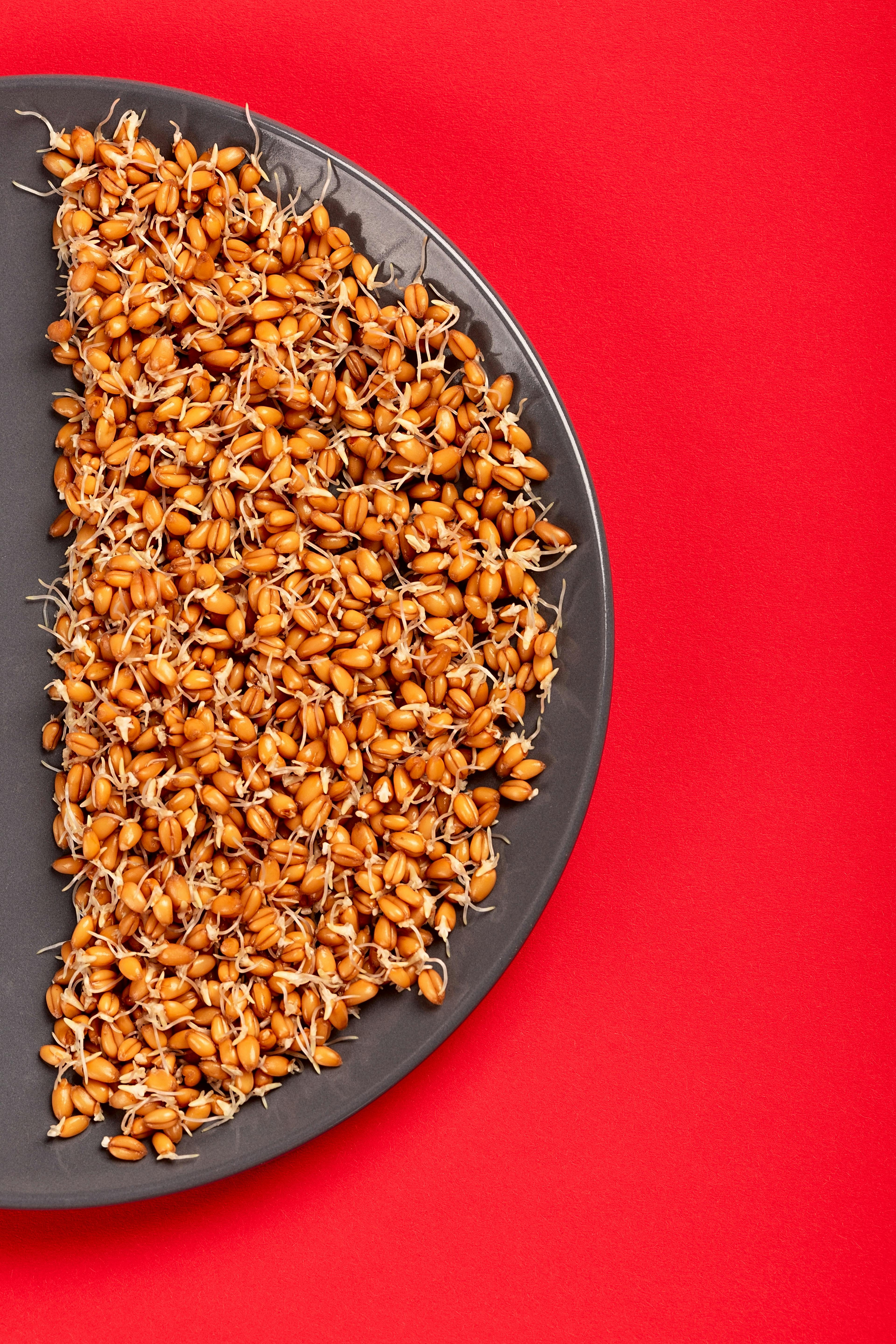 Effective Ways to Structure Your High Fiber Diet Plan in 2025