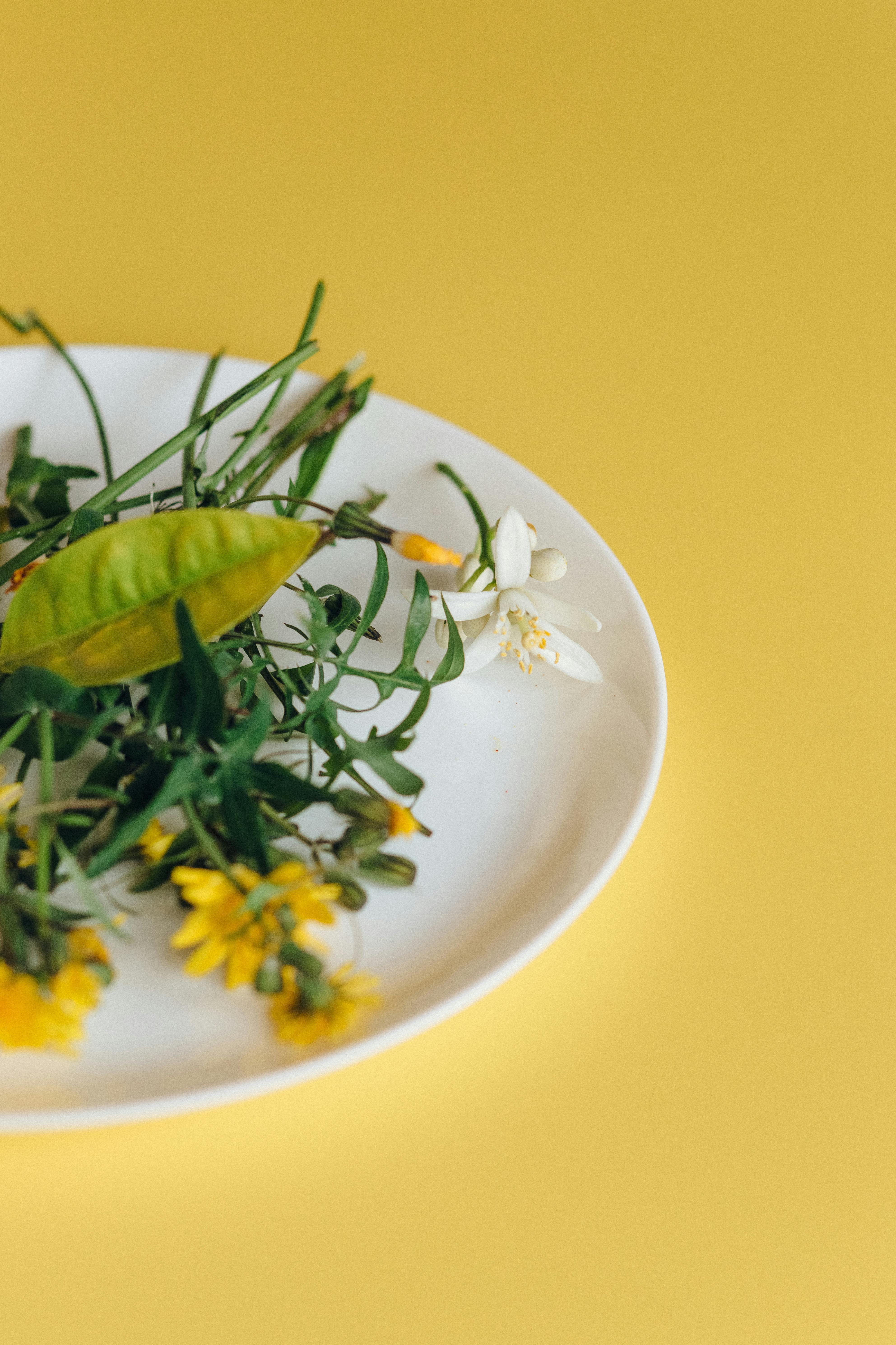 Smart Ways to Optimize Your Steak and Eggs Diet for 2025!
