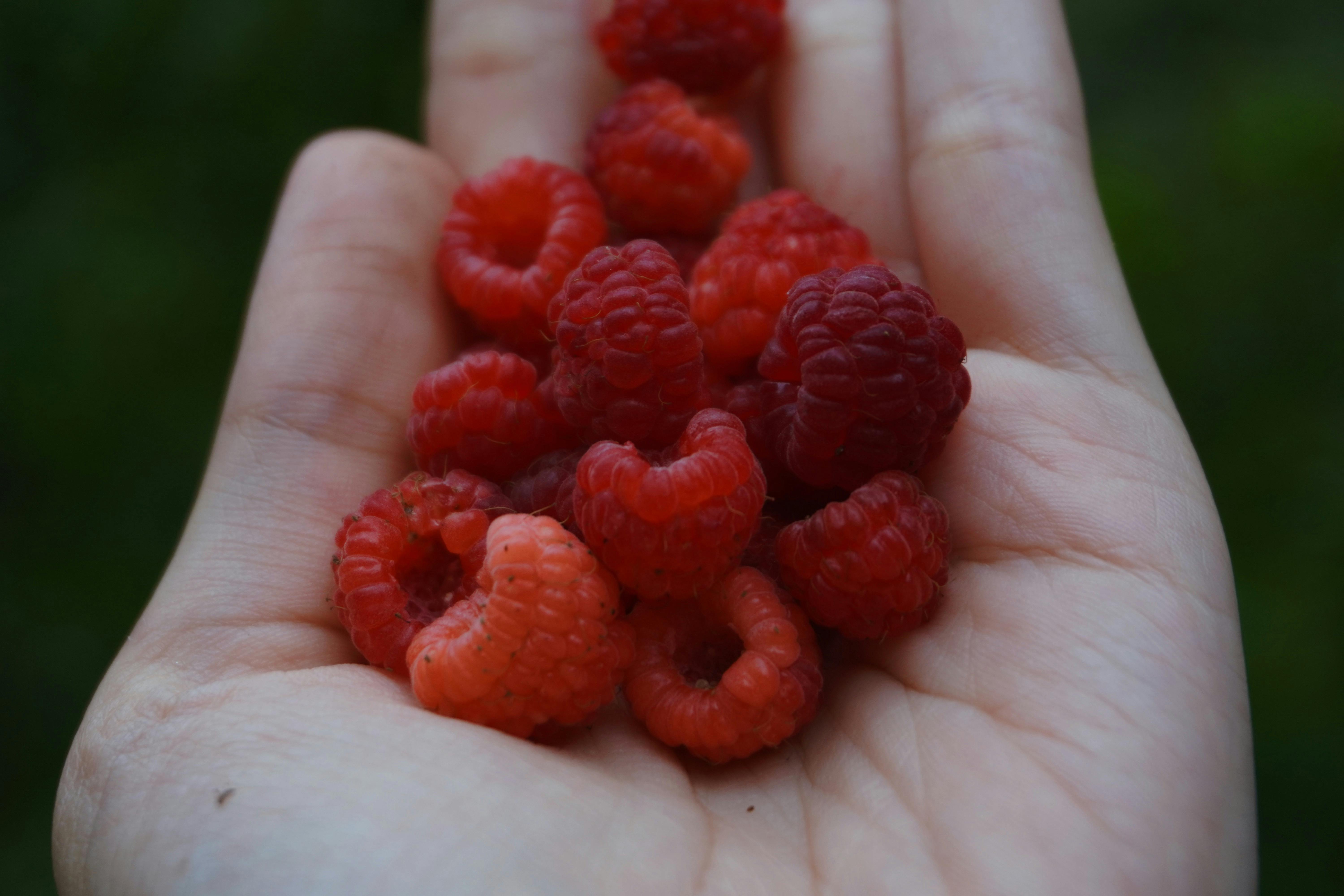Proven Methods for Enhanced Nutrition: Optimize Your Nick Bosa Diet in 2025