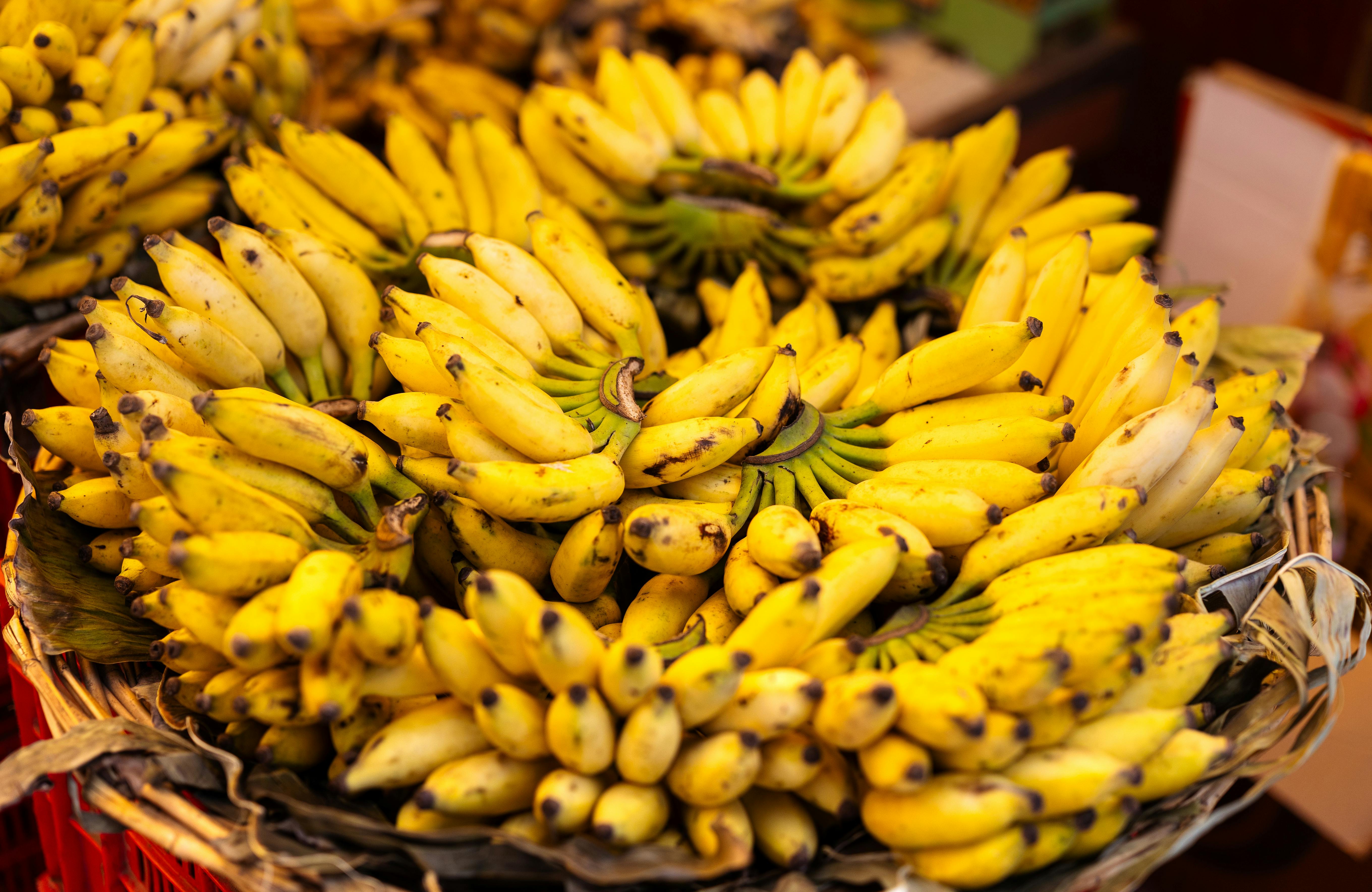 5 Effective Ways to Enhance Your Eating Habits in 2025